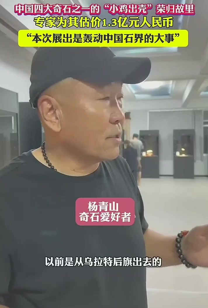 中国四大奇石之一“小鸡出壳”荣归故里,价值1.3亿
