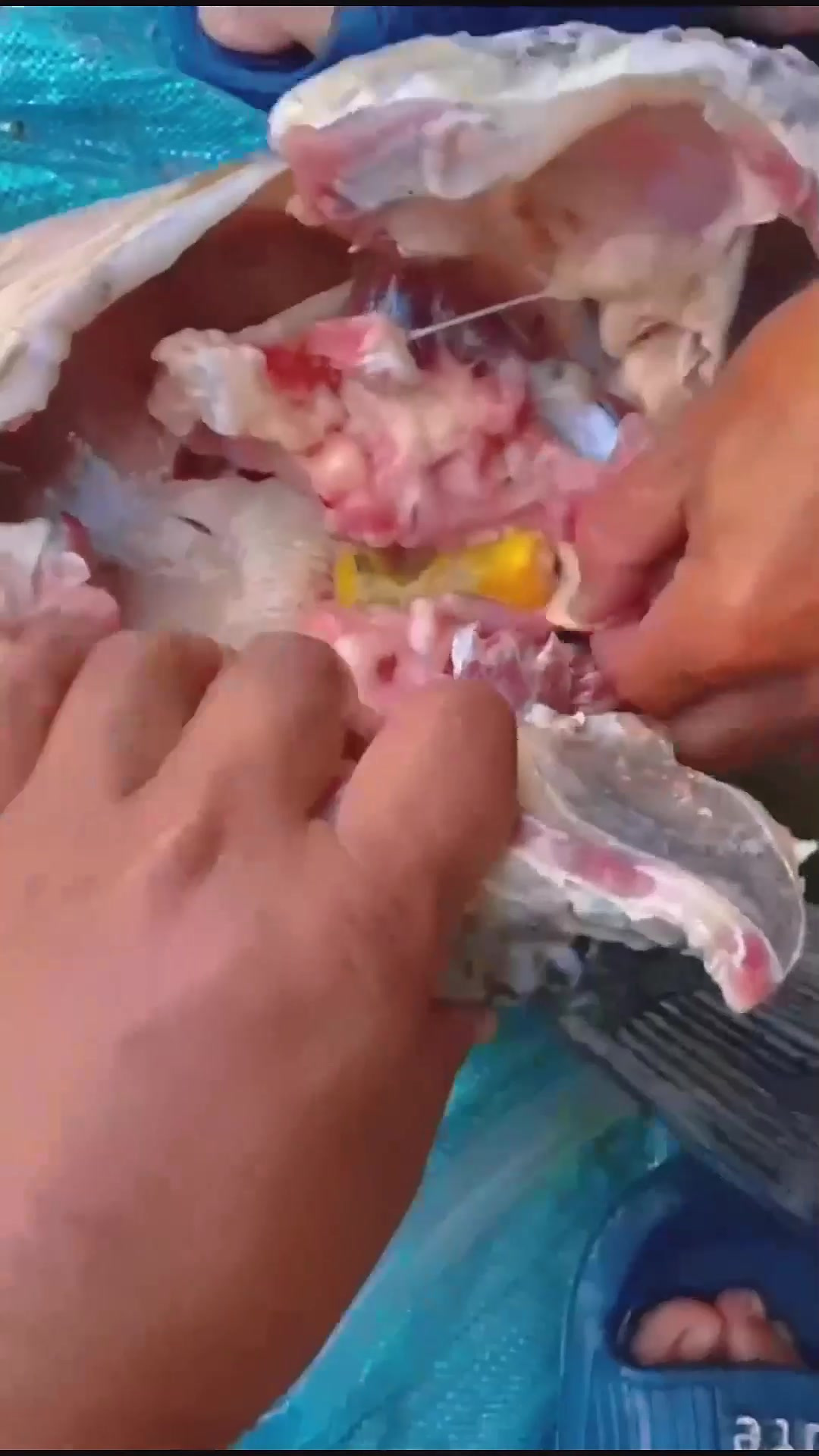 青鱼石的位置和取下的方式