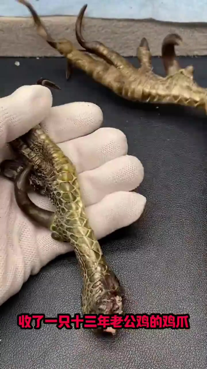 群魔乱舞的爪子,有人见过吗?