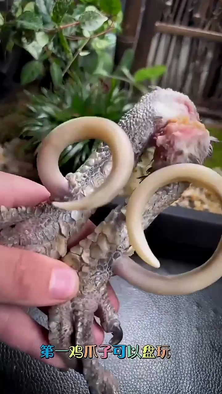 文玩界里的老奇葩,最后一个让你目瞪口呆!