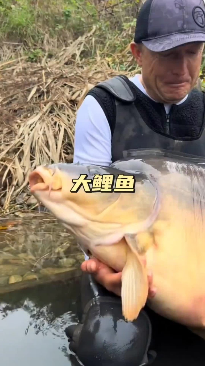 钓大鱼 钓到一条大鲤鱼，发财鱼