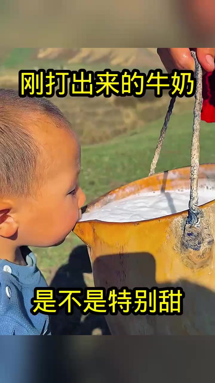 刚打出来的牛奶,是不是特别甜!