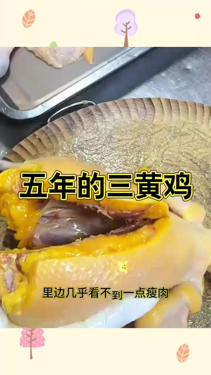 五年的三黄鸡,里面都是黄油
