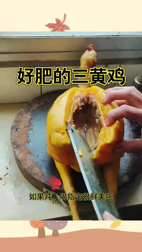 好肥的三黄鸡,很鲜美