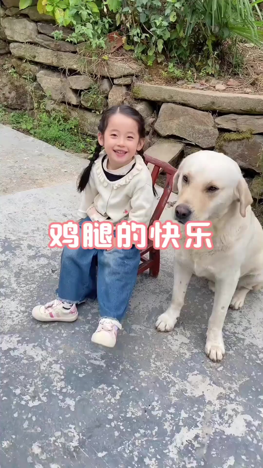 狗狗太温柔了,咬个鸡腿还要慢慢悠悠的,生怕咬到小主人的手吧