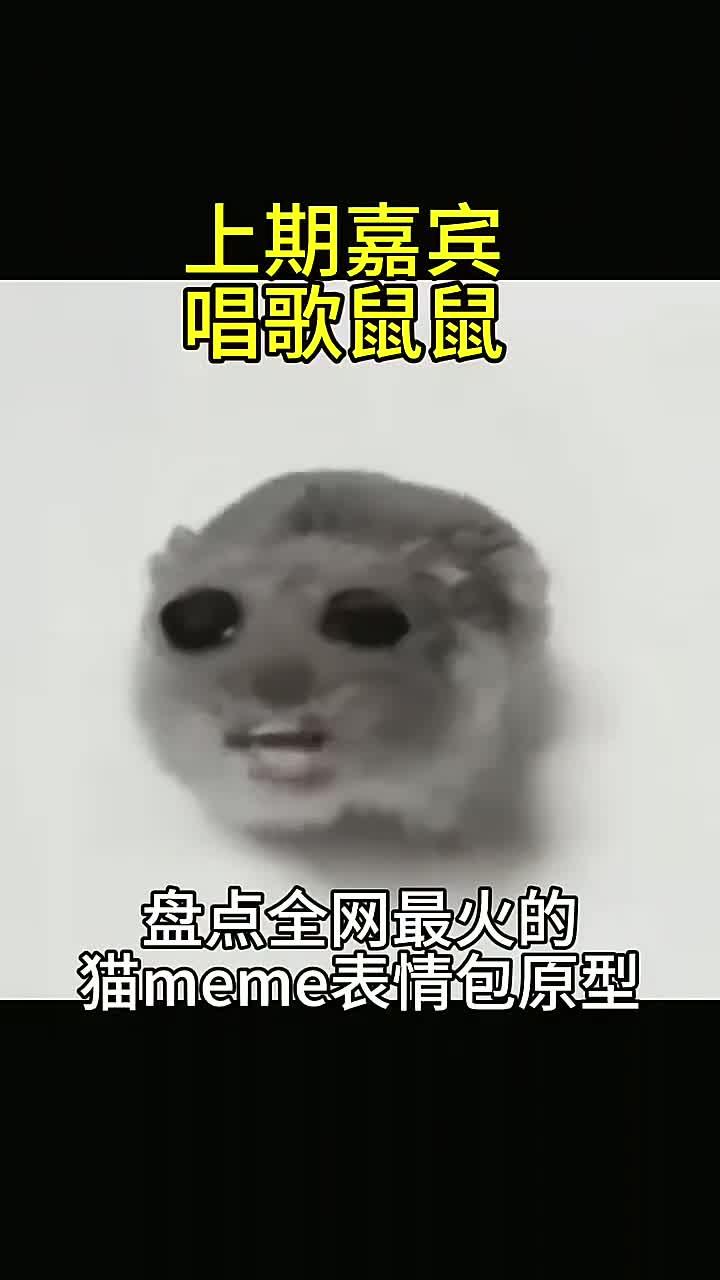 盘点全网最火猫meme表情包，出处都在哪？（26）