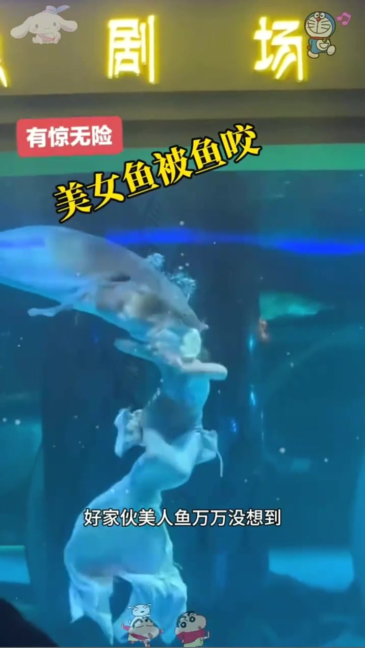 美女今天遇到真鱼