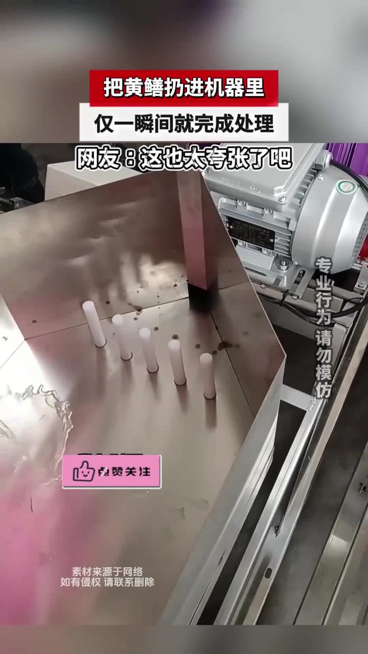 把黄鳝扔进机器里，仅一瞬间就完成处理，网友：这也太夸张了吧