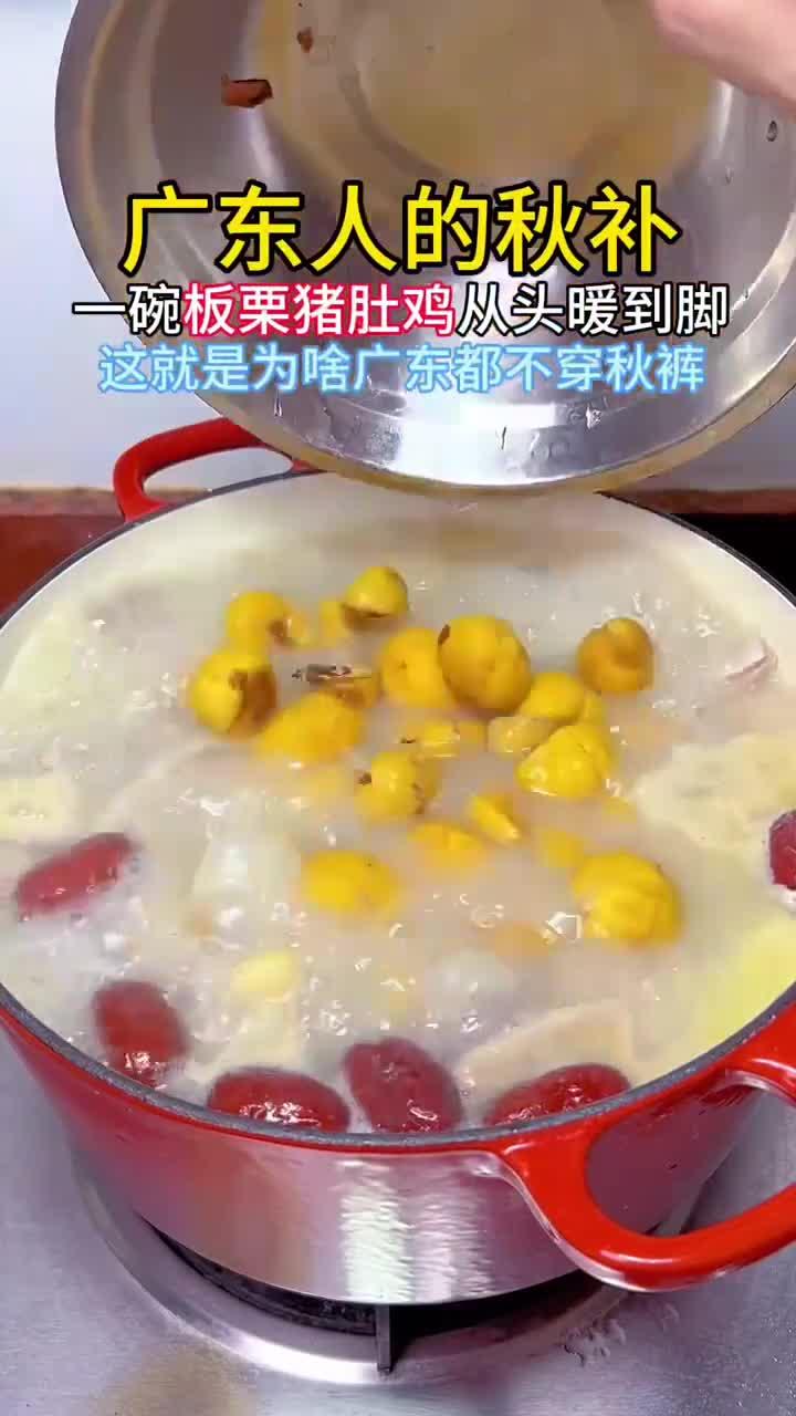 广东人的秋补:一碗板栗猪肚鸡,暖心又暖胃,远离秋裤