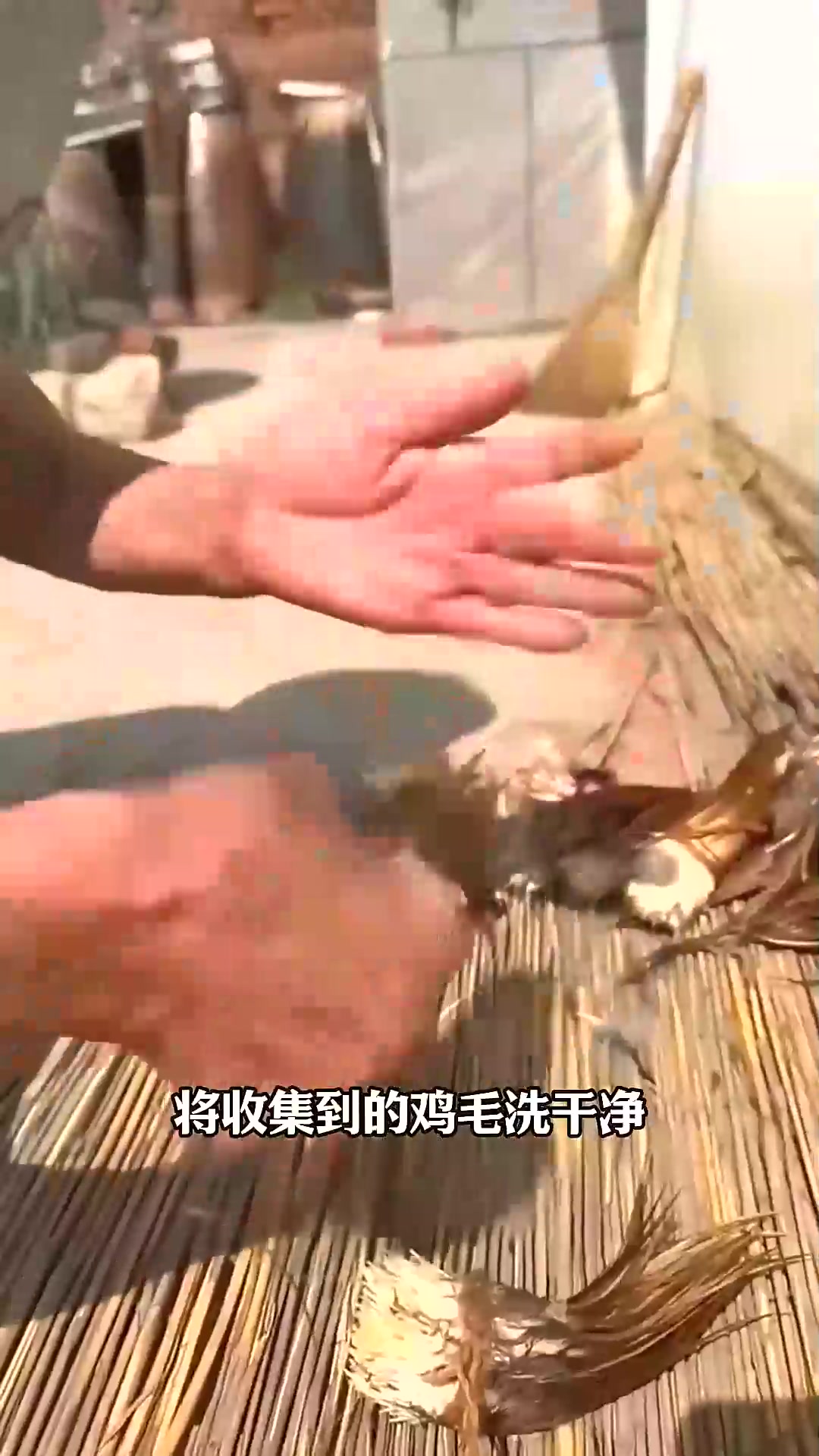  原来鸡毛毽子是这么做的?