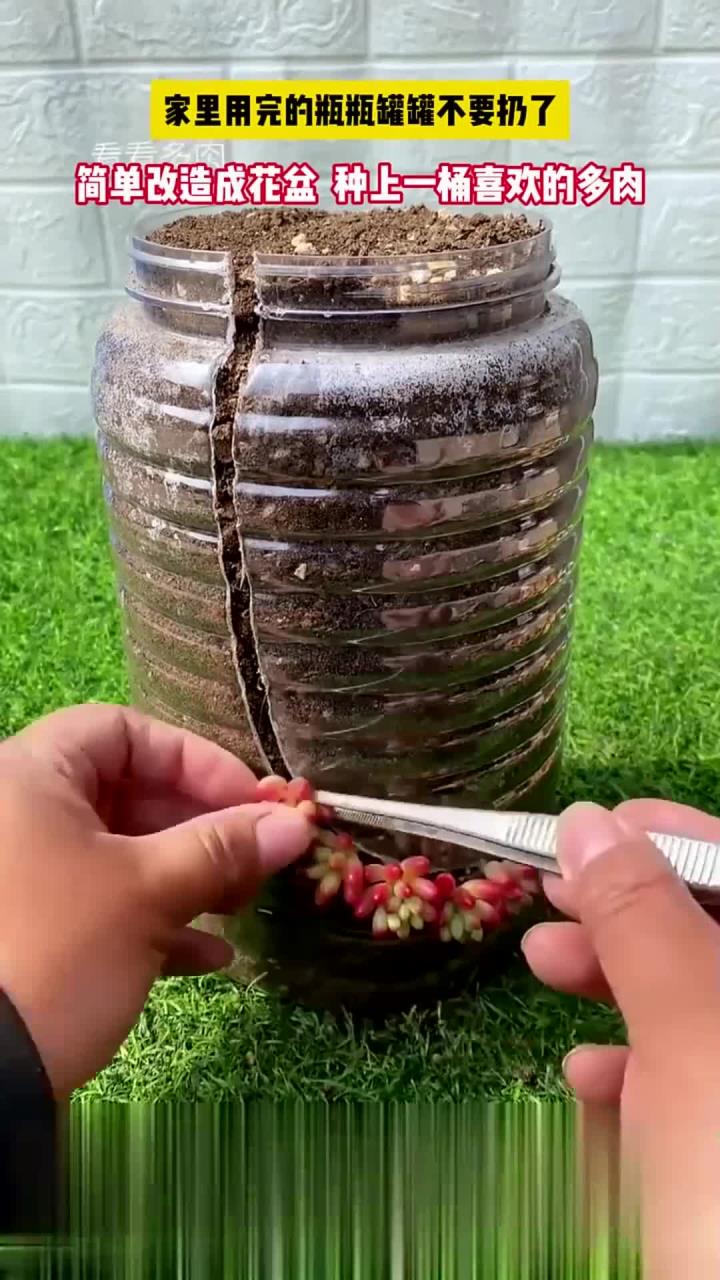 家里用完的瓶瓶罐罐不要扔了，简单改造成花盆，种上一桶喜欢的多肉