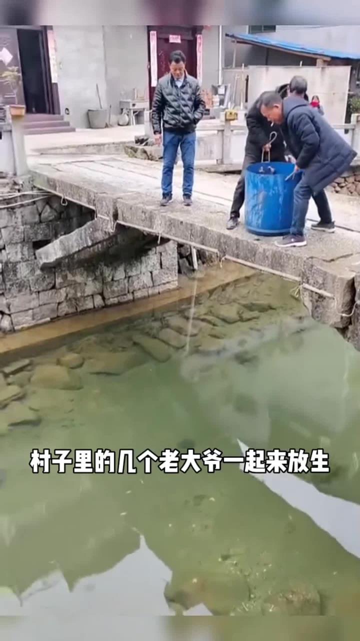 农村老大爷在河里放生鲤鱼，这是用来招财进宝的吗