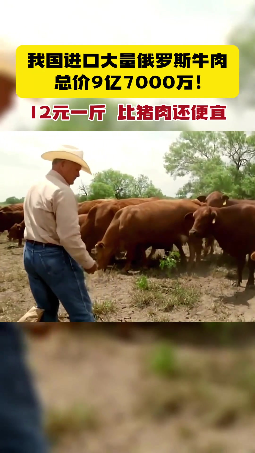 大量便宜俄罗斯牛肉入华,12元一斤,比猪肉还便宜