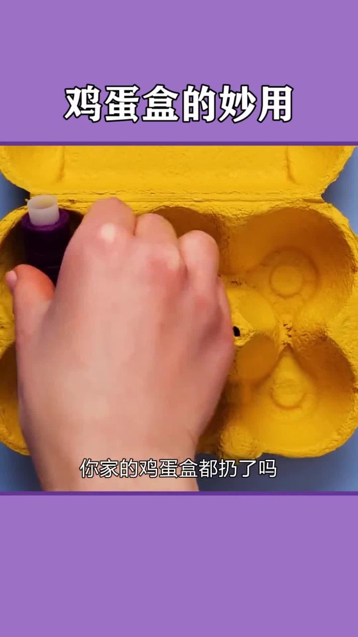 别急着扔家中的鸡蛋盒!生活小技巧大揭秘。学会这些实用妙招,轻松捡到宝!