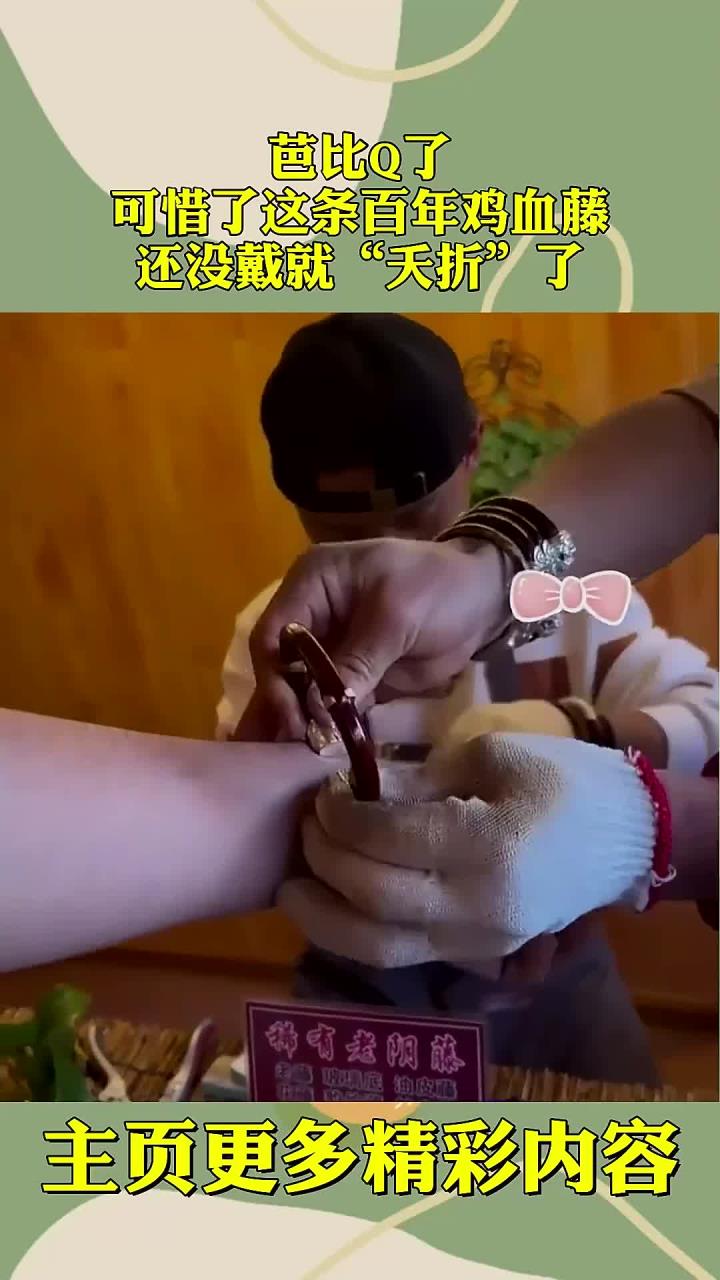 芭比Q了,可惜了这条百年鸡血藤,还没戴就“夭折”了!