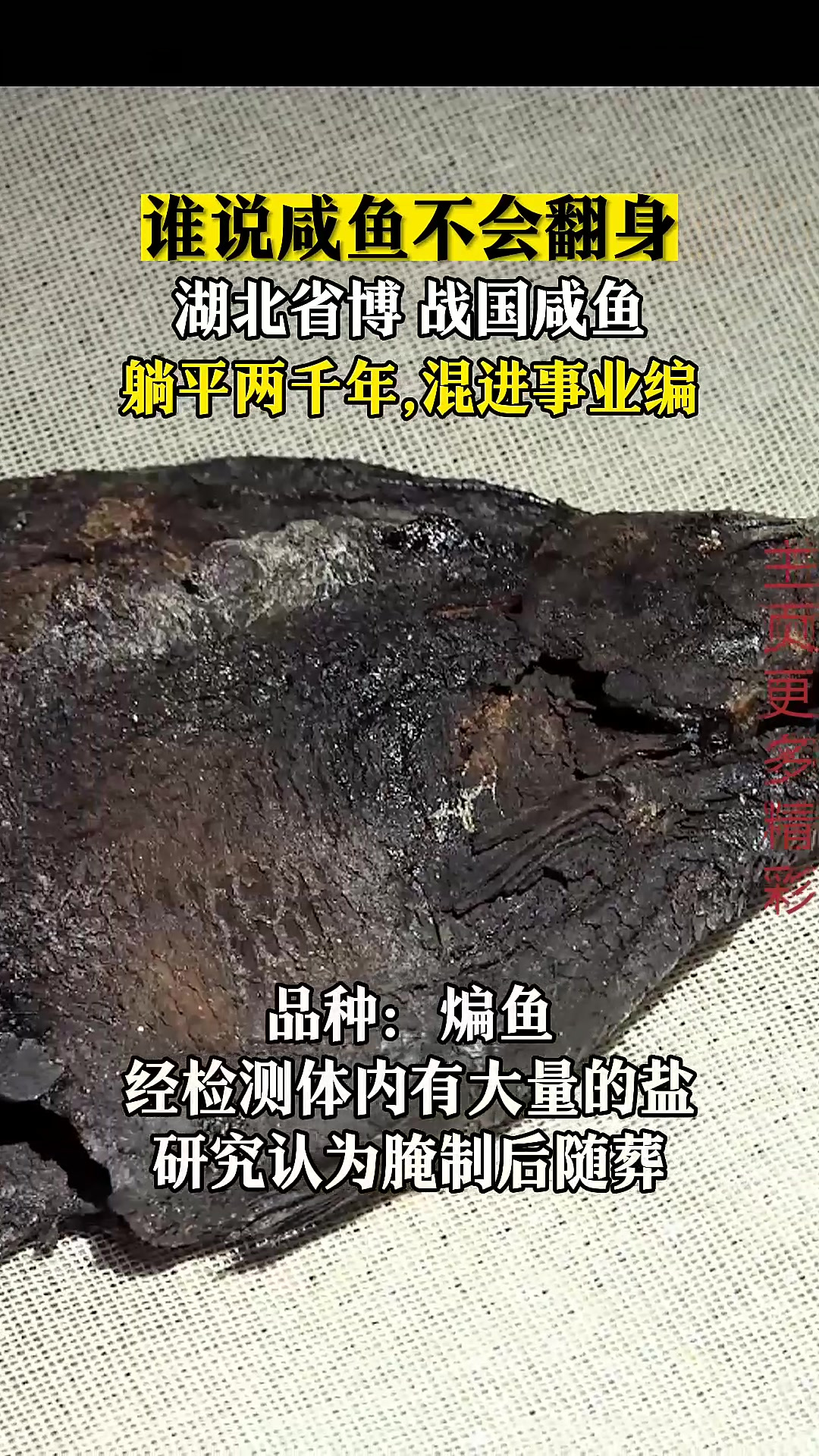 谁说咸鱼不会翻身?