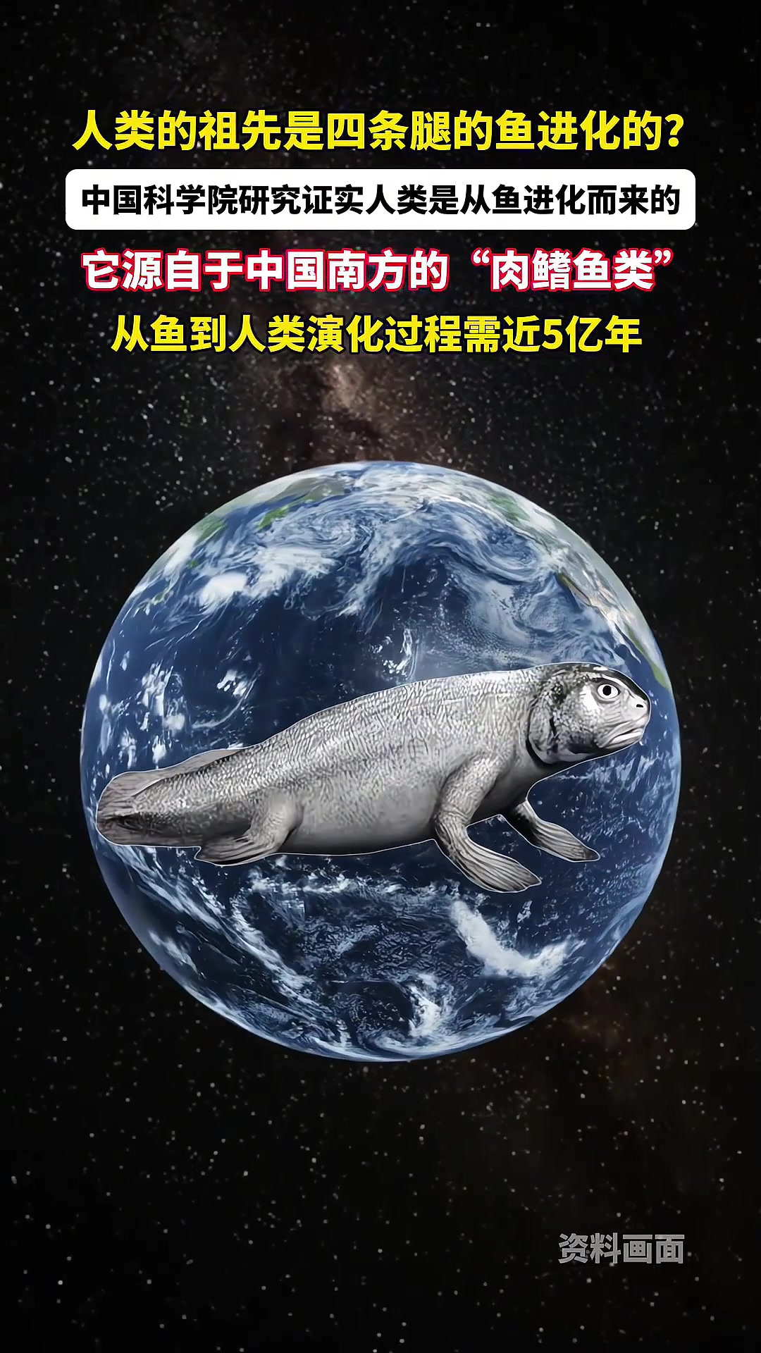 人类的祖先是四条腿的鱼进化的?从鱼到人类演化过程需5亿年!