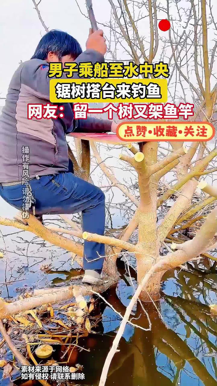 男子乘船至水中央，锯树搭台来钓鱼，网友：留一个树叉架鱼竿
