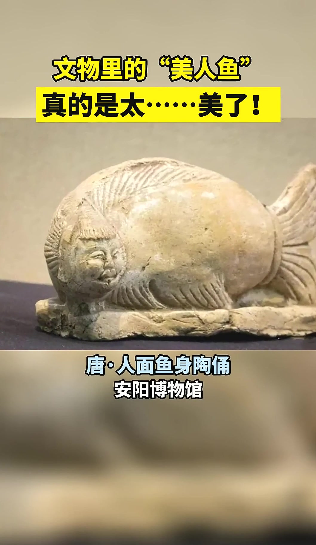 里的,真的是太……美了。百家历史人物讲解