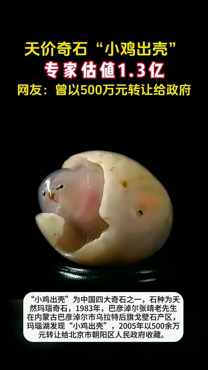 天价奇石!专家估值3亿,曾以500万元转让给政府收藏