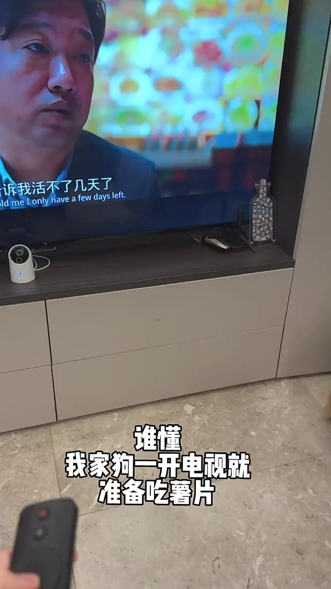 薯片必须是蕃茄味
