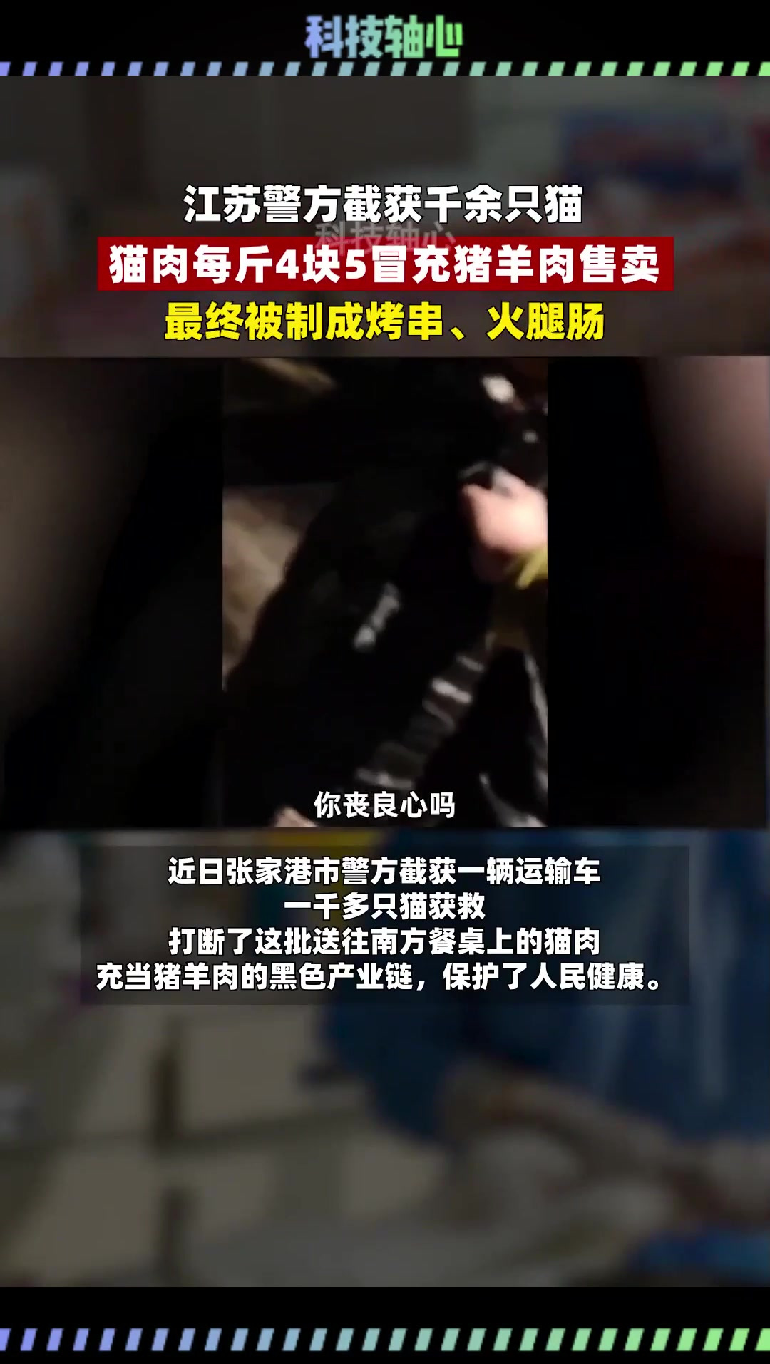 猫肉售卖黑幕曝光,猫肉每斤4块5冒充猪羊肉售卖