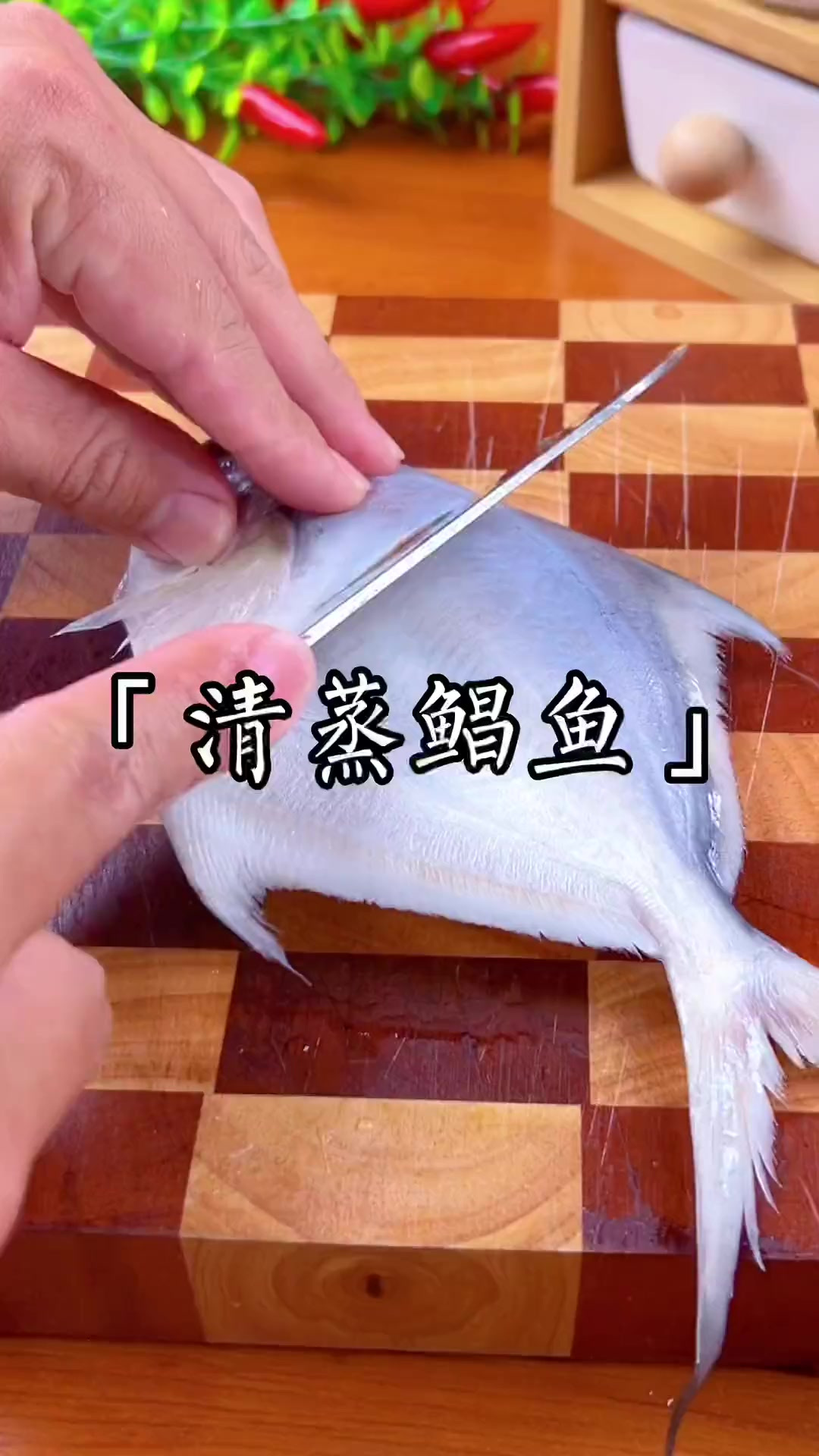 清蒸鲳鱼太鲜美啦～