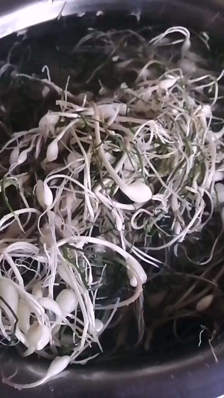 小根蒜炒鸡蛋这样做老香了