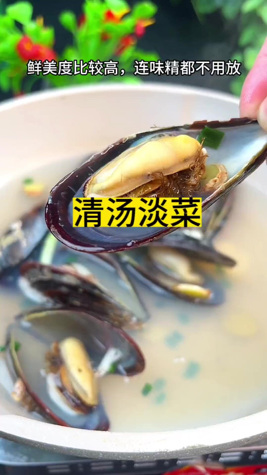 汤鲜味美的淡菜汤