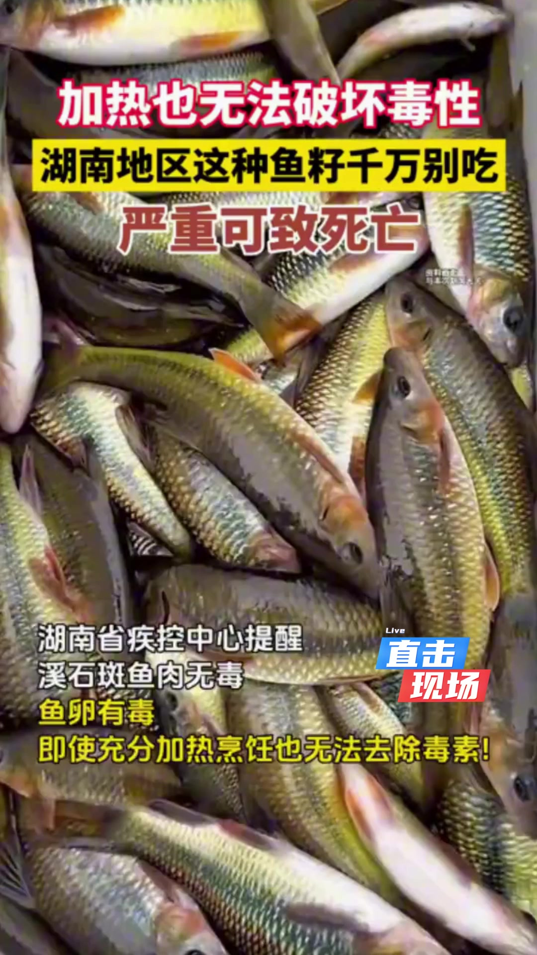 今日健康这种鱼不能乱吃！湖南多地上报食用溪石斑鱼卵中毒事件