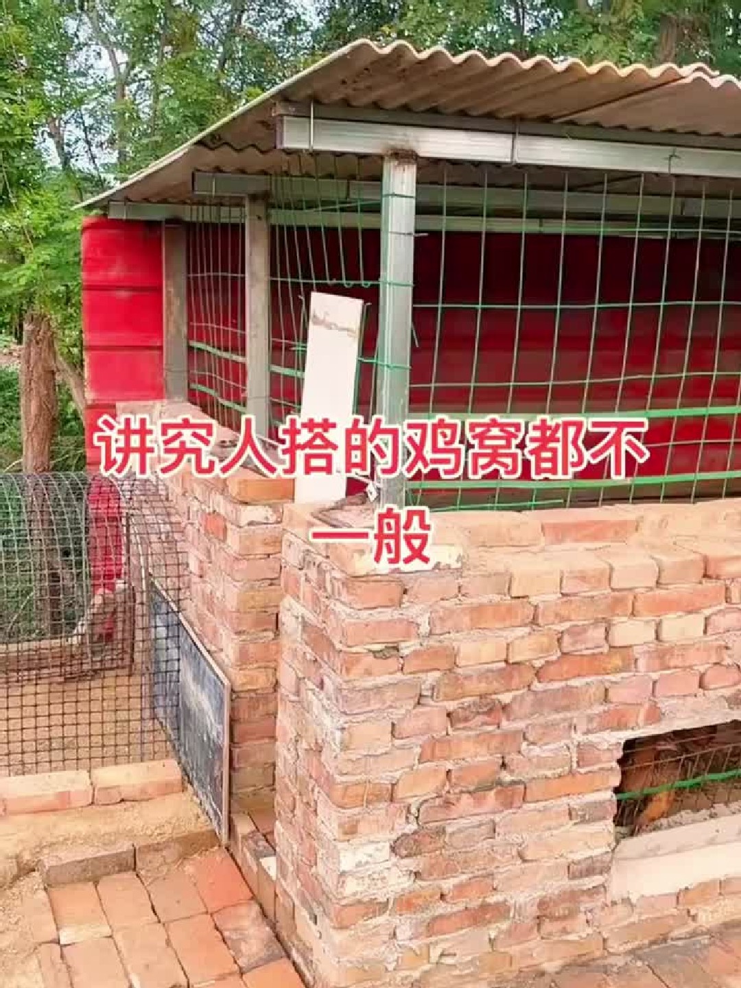 讲究人搭的鸡窝都不一般