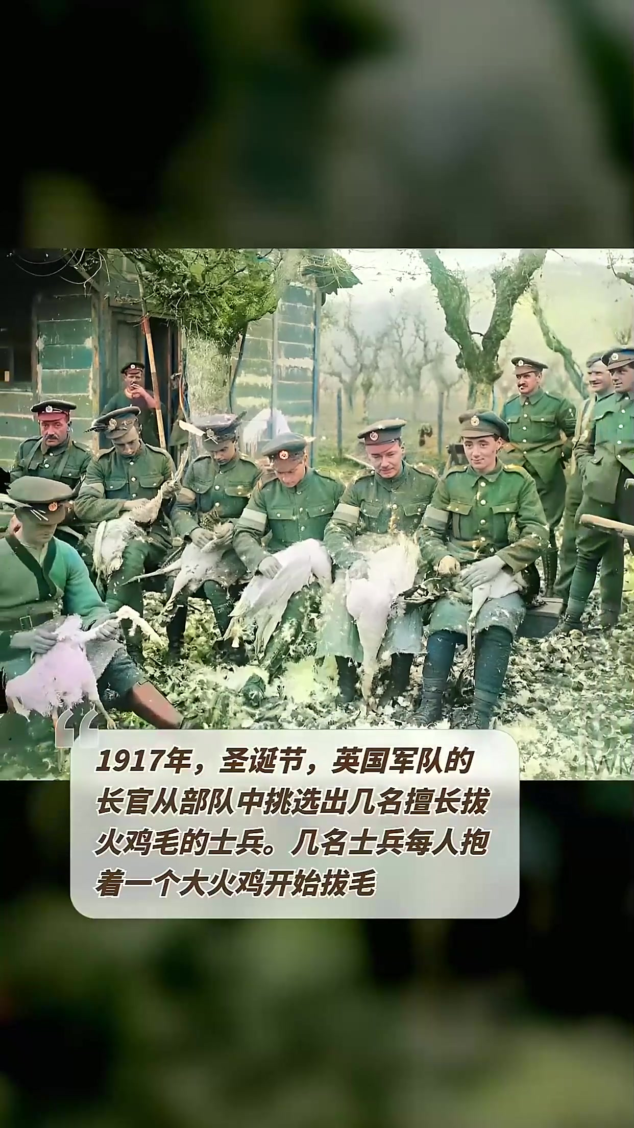 1917年，圣诞节，英国军队的长官从部队中挑选出几名擅长拔火