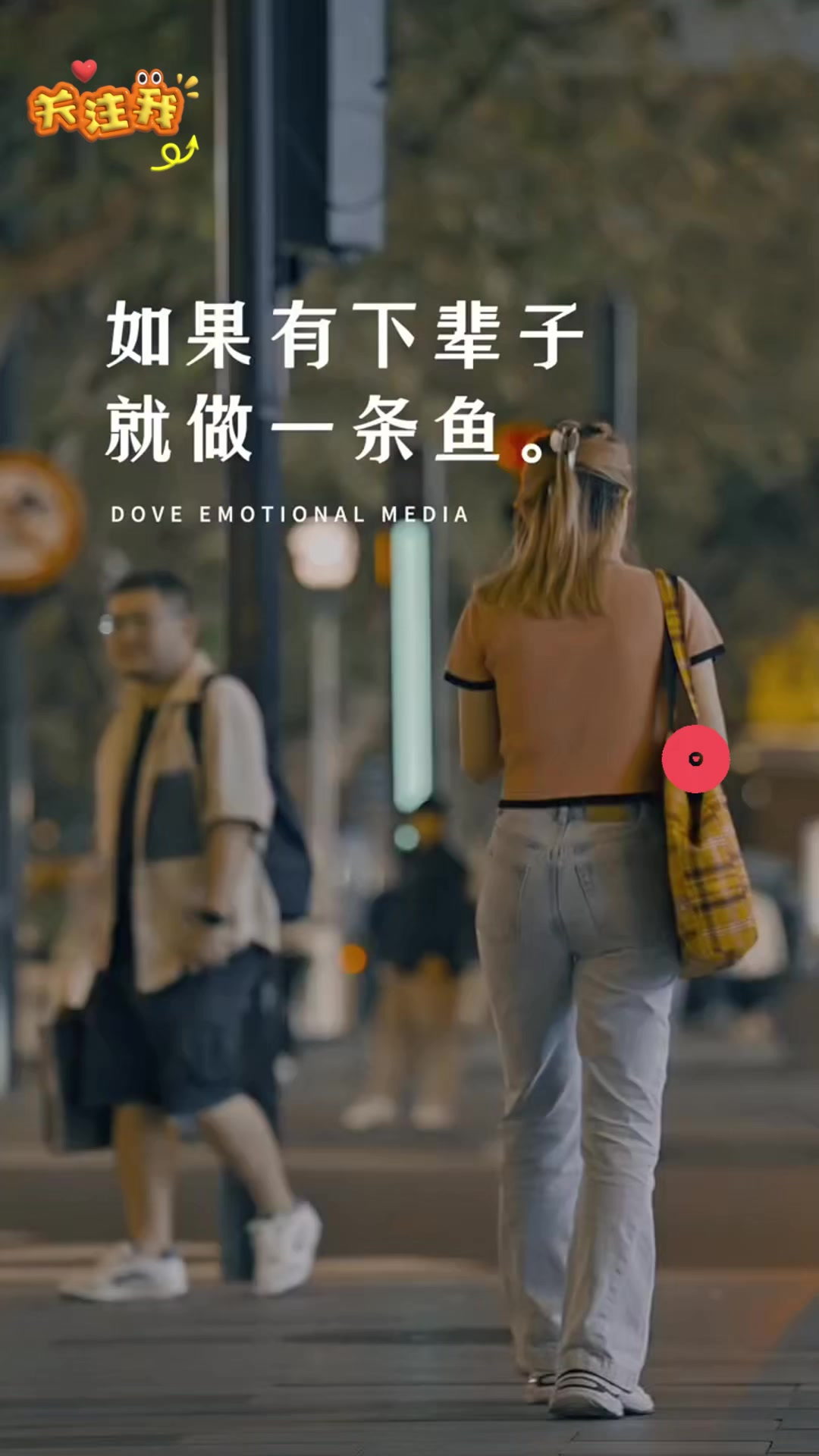 下辈子就做一条鱼 “下辈子做鱼，没温度感情，只有七秒记忆”