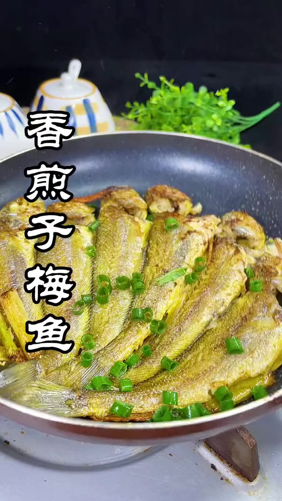 子梅鱼这样做,才是对它最尊重的做法