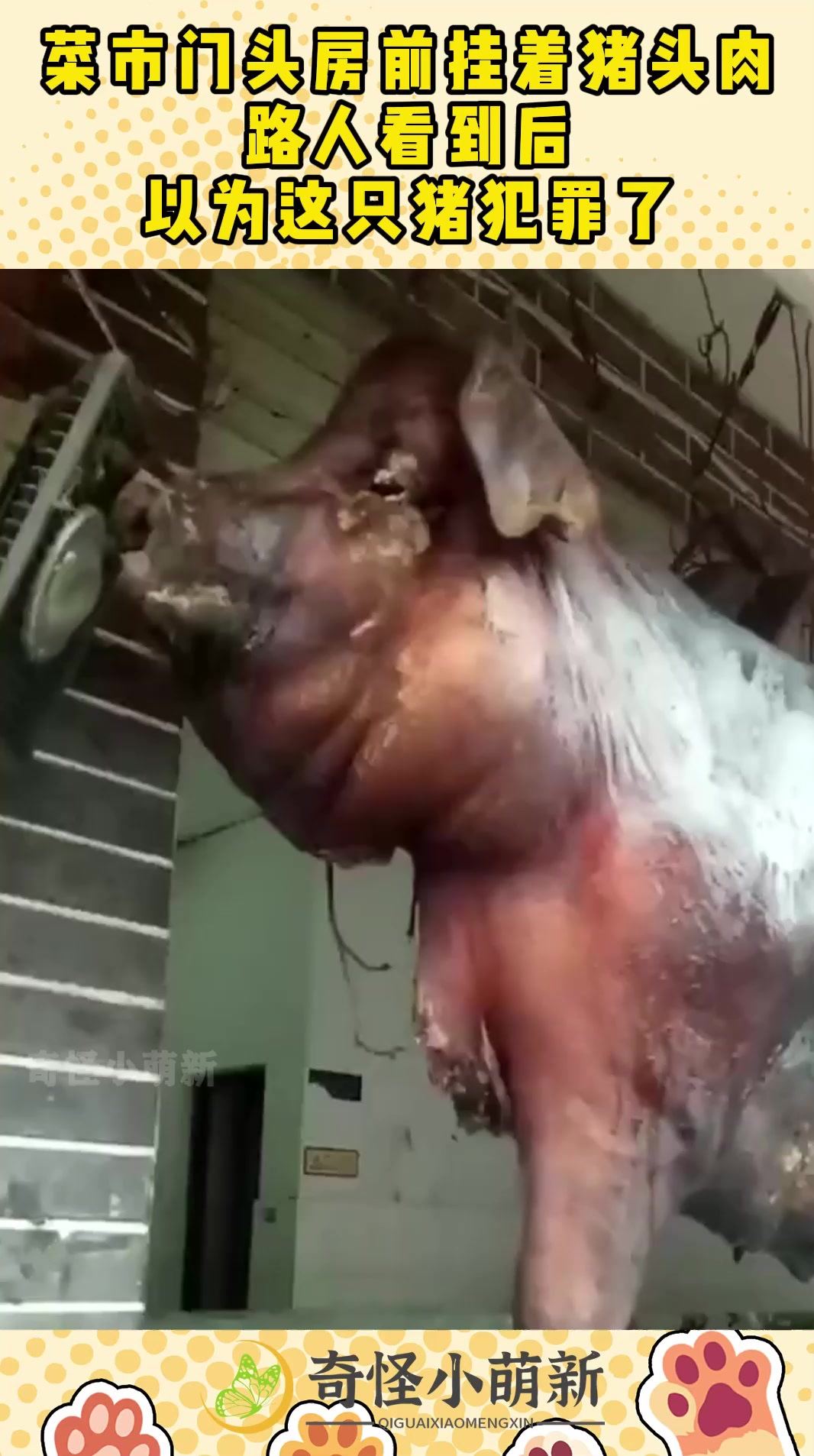 菜市门头房前挂着猪头肉,路人看到后,以为这只猪犯罪了!