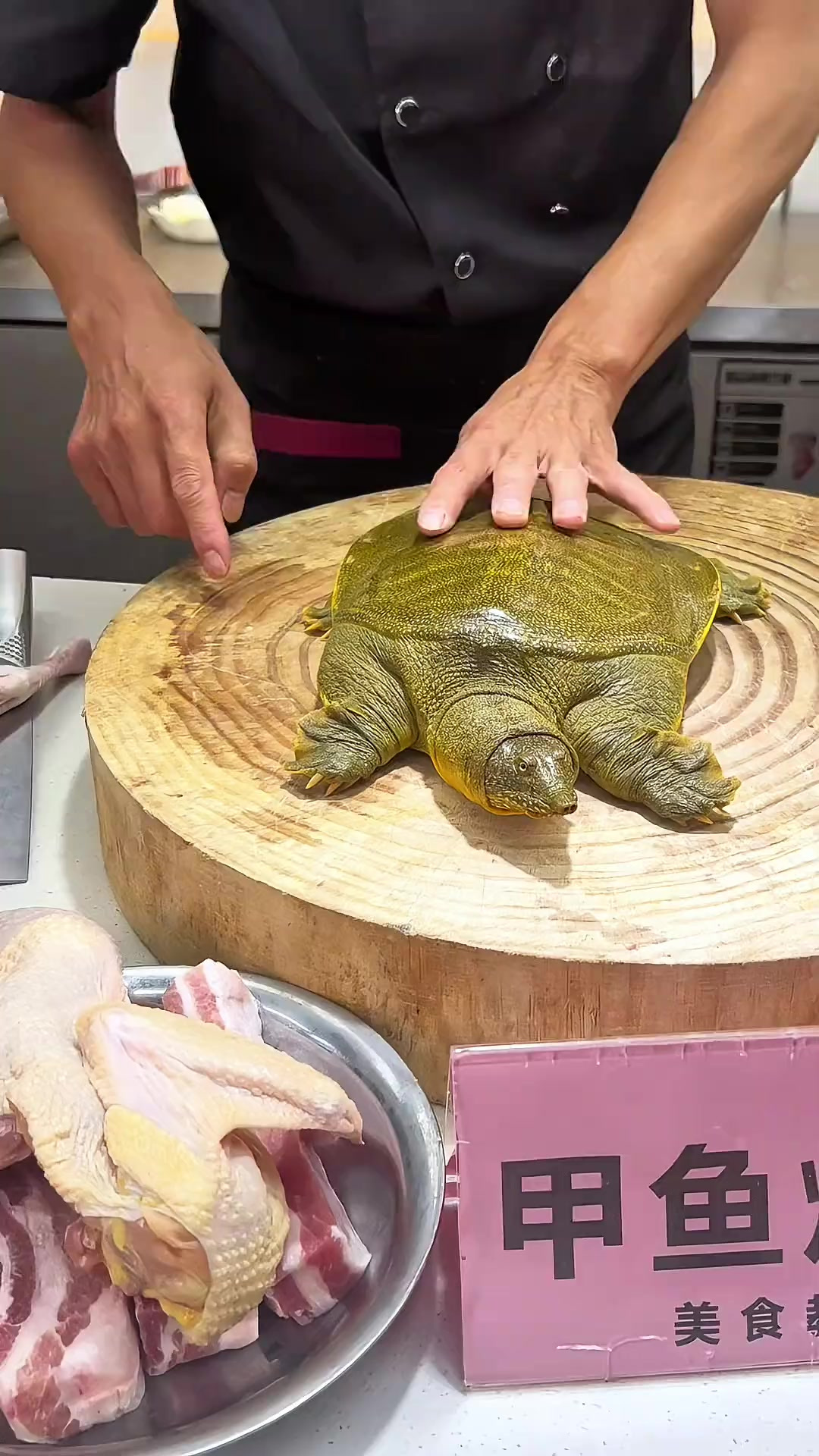 大家快点做起来吧霸王别姬来了