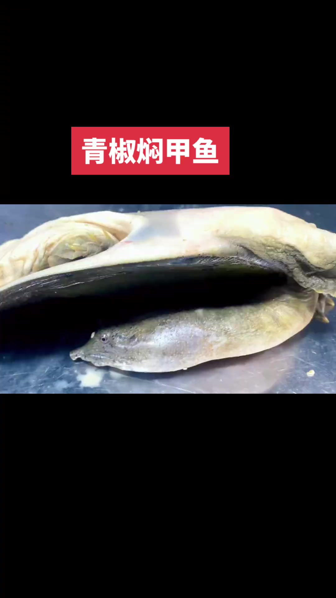 青椒焖甲鱼家常做法，汤汁浓稠粘嘴吧