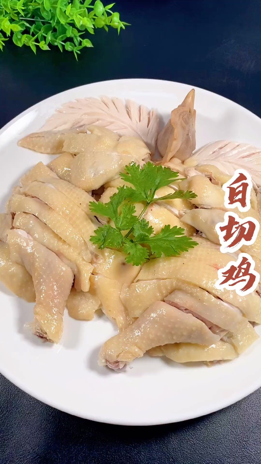 皮脆肉嫩的白切鸡你喜欢吃吗？