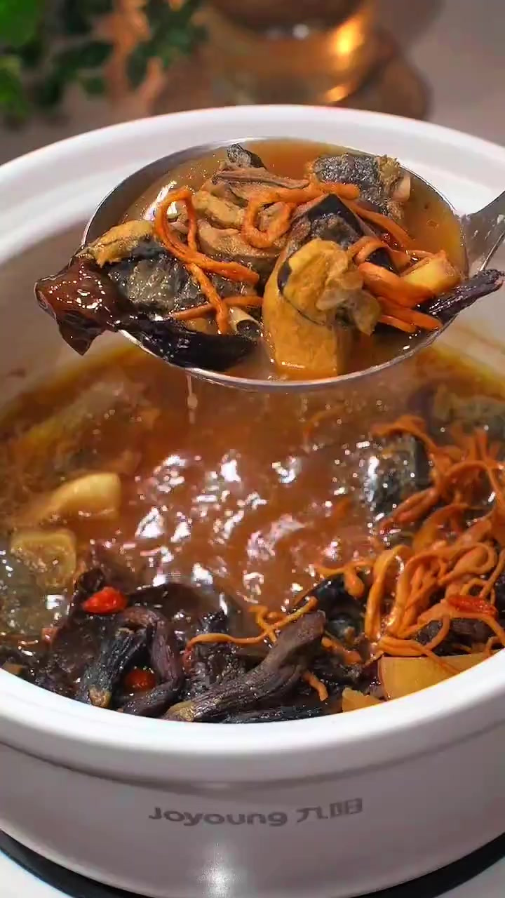 有了这个九阳电砂锅，再也不用担心久炖忘记看管了