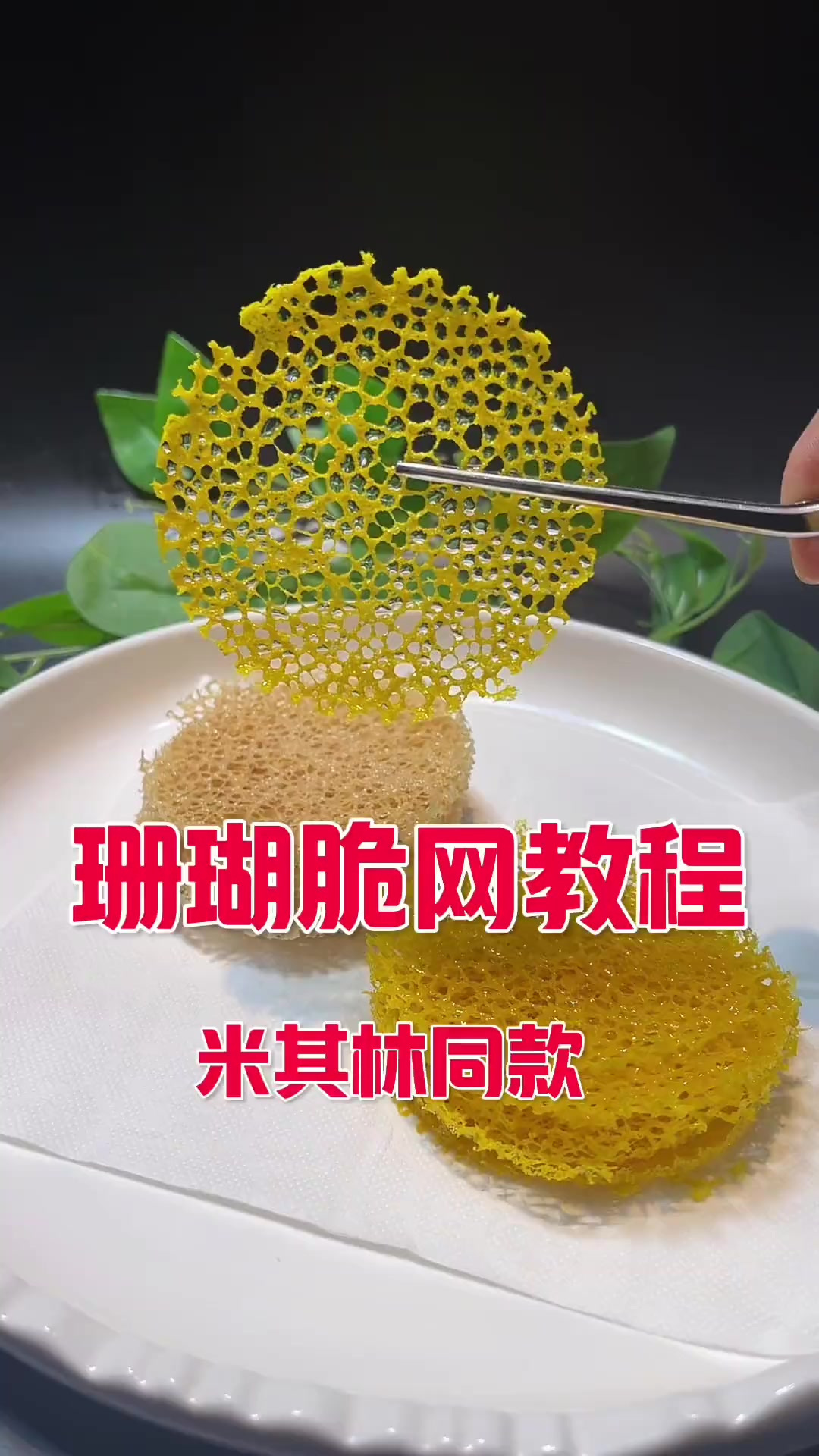 今天分享下做菜百用的珊瑚脆网大家，感谢大家支持！