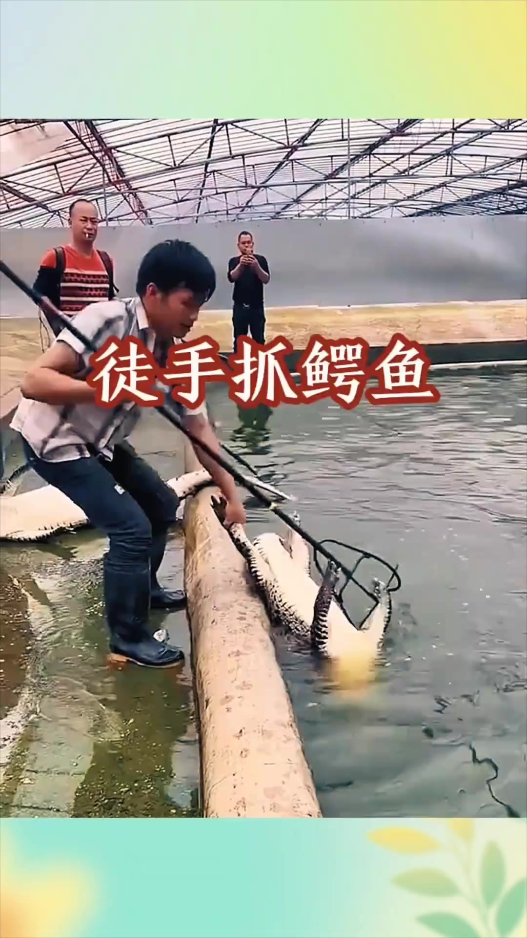 浑身硬邦邦的大鳄鱼