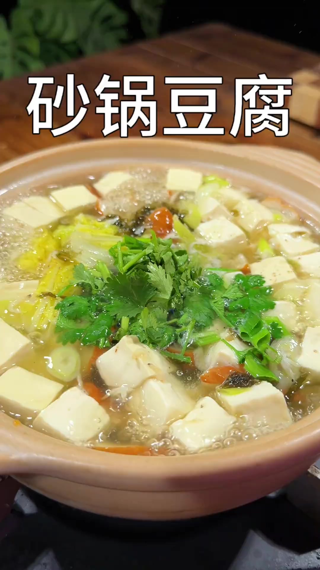 适合这个季节吃的砂锅豆腐 汤鲜味美做法简单
