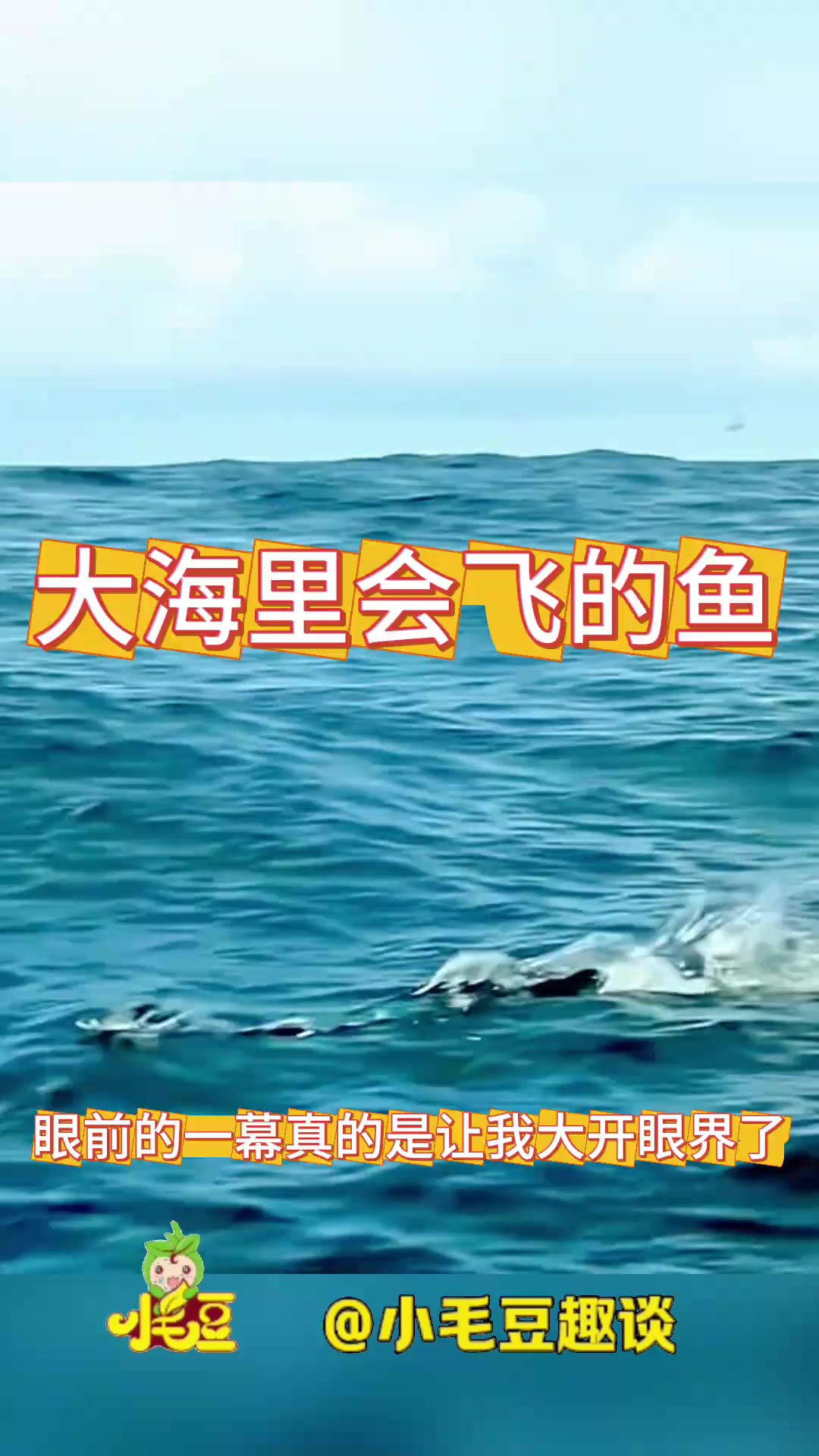 大海里会飞的鱼,结局意想不到