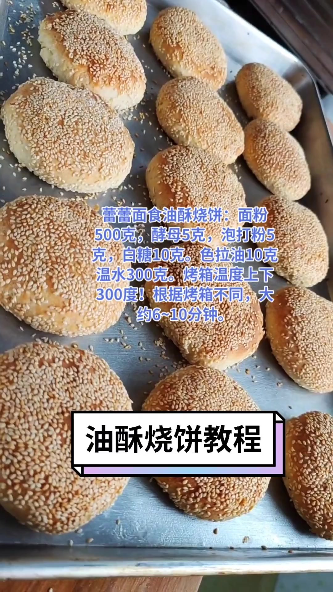 油酥烧饼 烧饼 五香烧饼