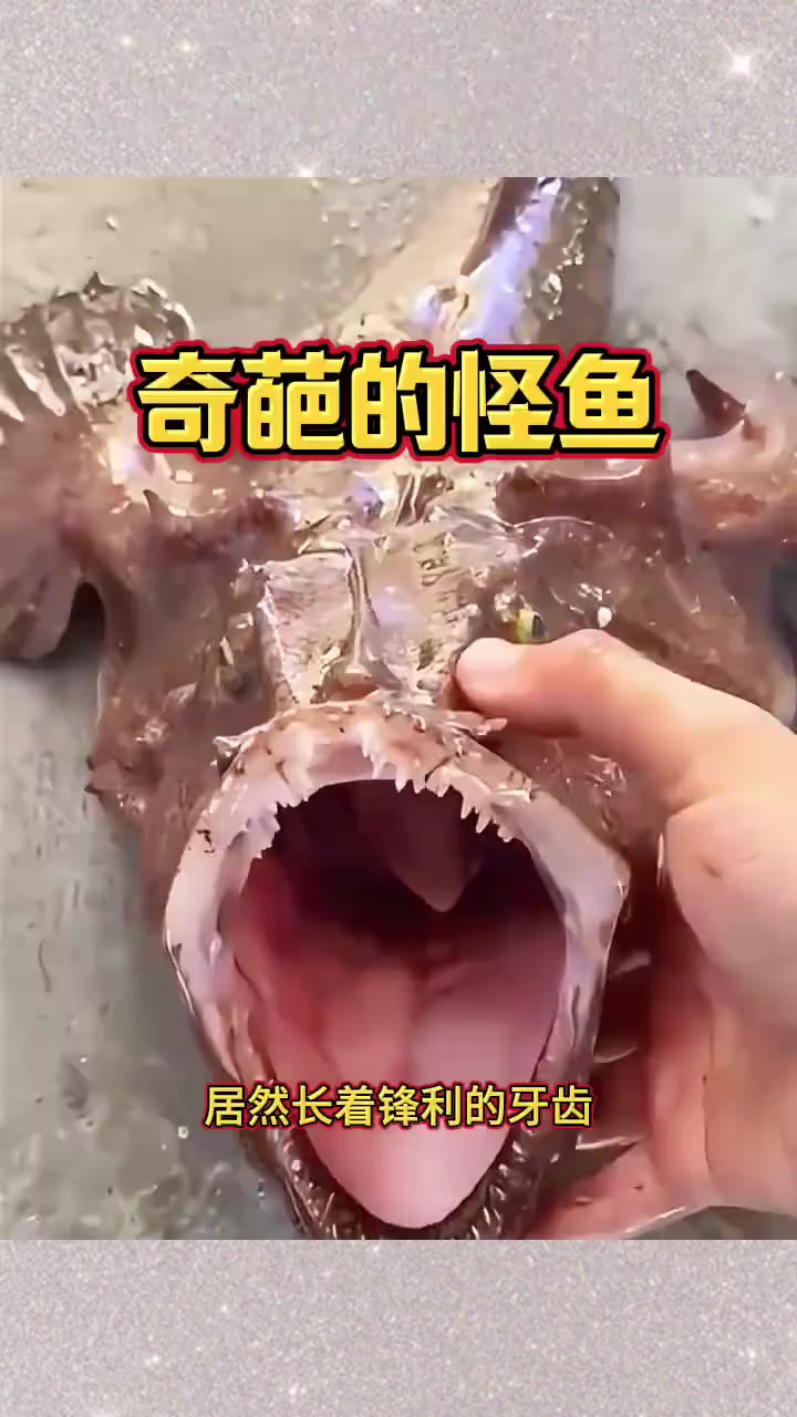 奇葩的怪鱼，长着锋利的牙齿