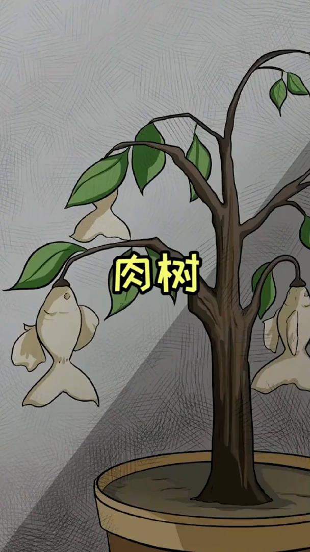 能长出肉的树!