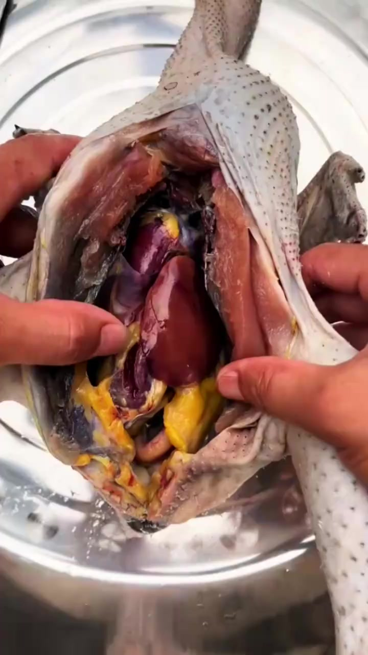 散养乌鸡揭秘:黑骨头与独特内脏的美味差异