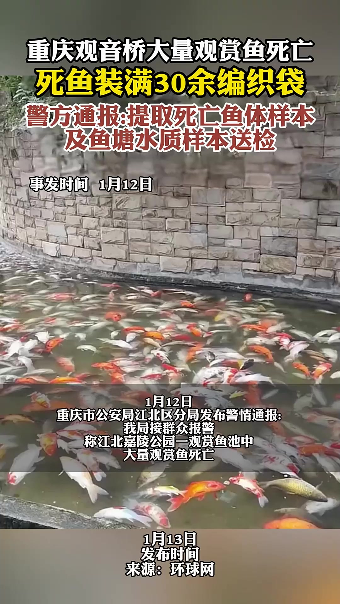 重庆观音桥大量观赏鱼死亡死鱼装满30余编织袋 警方通报 -提取死亡鱼体样本 及鱼塘水质样本