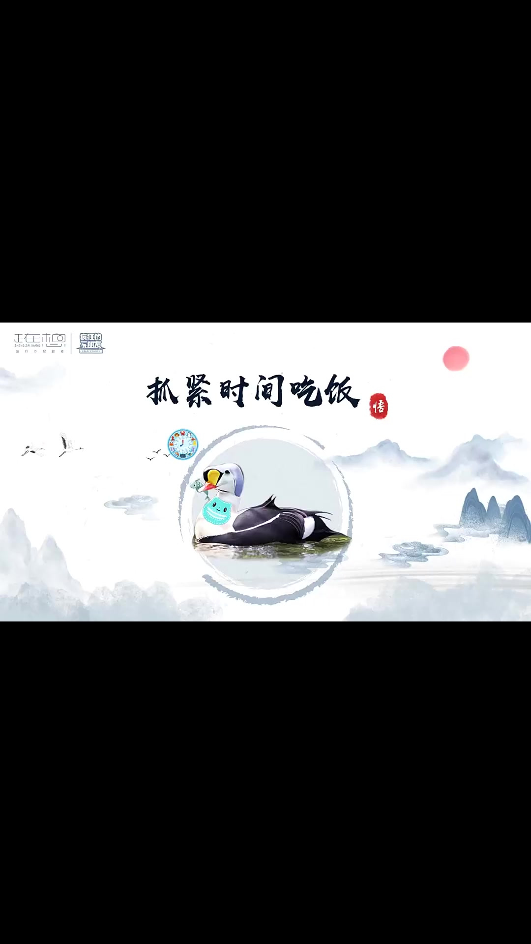 带你了解神奇动物绒鸭