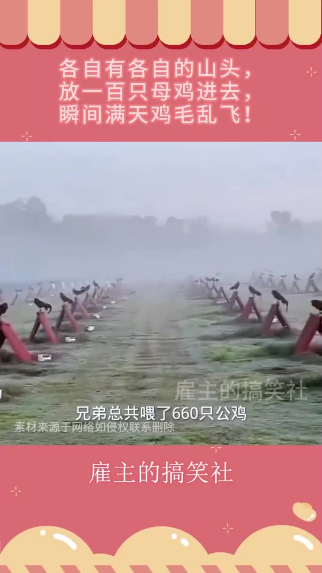 各自有各自的山头,放一百只母鸡进去,瞬间满天鸡毛乱飞!